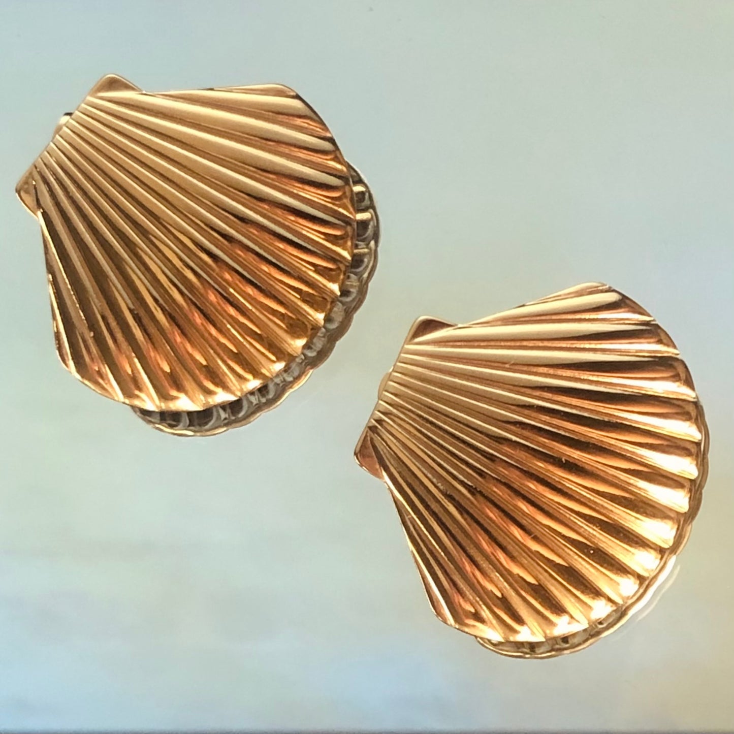 Shell earrings