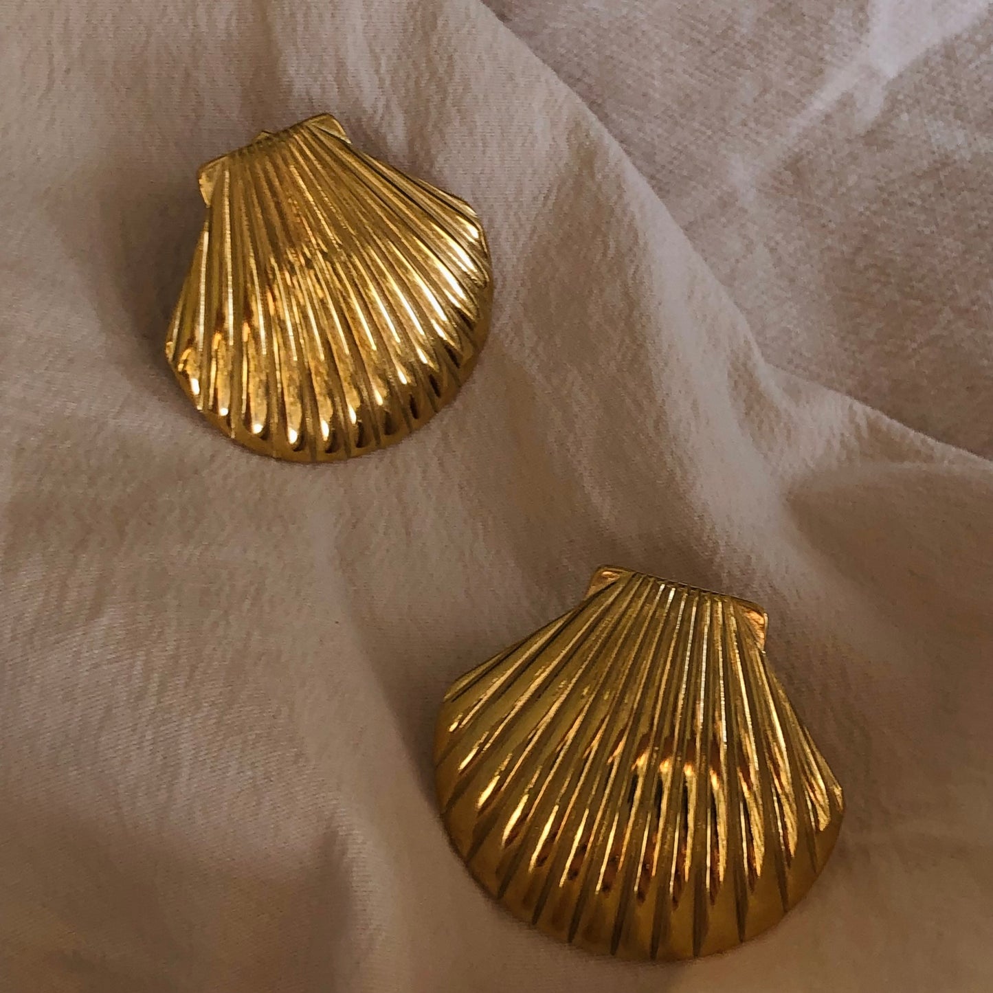 Shell earrings